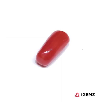 1.675 ct Red Coral - iGemz32883 gemstone for sale at igemz.co.za