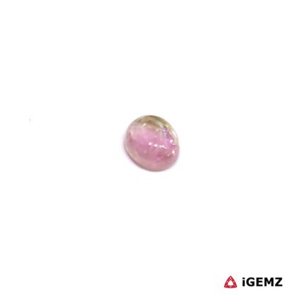 0.51 ct Bi-Colour Tourmaline - iGemz31663 gemstone for sale at igemz.co.za