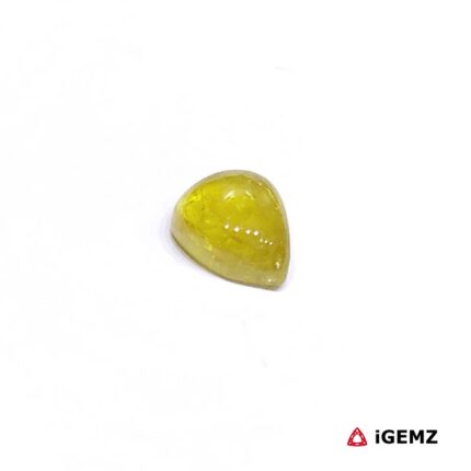 1.29 ct Green Tourmaline - iGemz31687 gemstone for sale at igemz.co.za