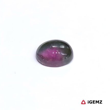 1.8 ct Bi-Colour Tourmaline - iGemz31724 gemstone for sale at igemz.co.za