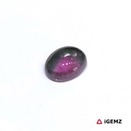 1.8 ct Bi-Colour Tourmaline - iGemz31724 gemstone for sale at igemz.co.za